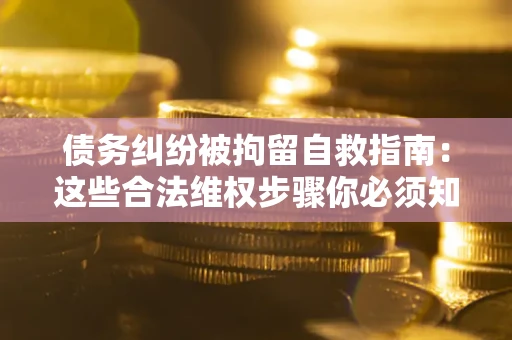 武汉债务纠纷被拘留自救指南：这些合法维权步骤你必须知道！