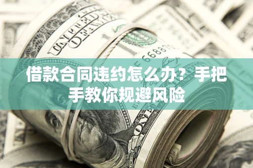 武汉借款合同违约怎么办？手把手教你规避风险