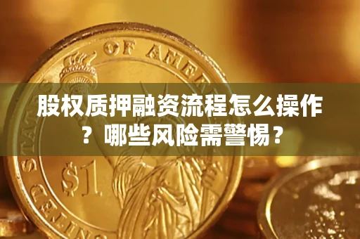 武汉股权质押融资流程怎么操作？哪些风险需警惕？