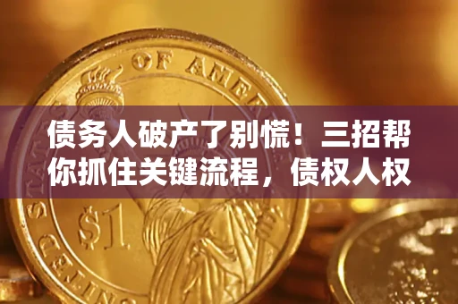 武汉债务人破产了别慌！三招帮你抓住关键流程，债权人权益不再缩水