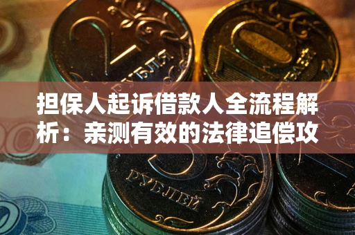 武汉担保人起诉借款人全流程解析：亲测有效的法律追偿攻略