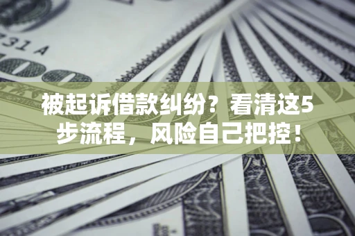武汉被起诉借款纠纷？看清这5步流程，风险自己把控！