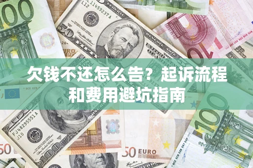 武汉欠钱不还怎么告？起诉流程和费用避坑指南