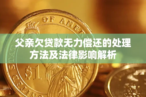 武汉父亲欠贷款无力偿还的处理方法及法律影响解析