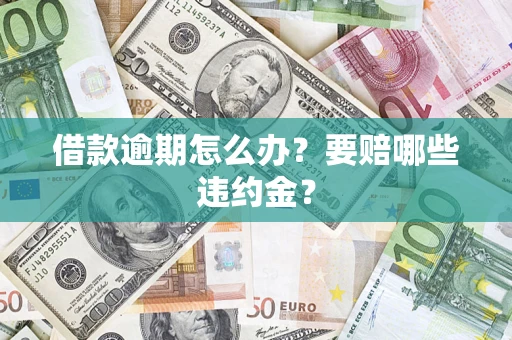 武汉借款逾期怎么办？要赔哪些违约金？