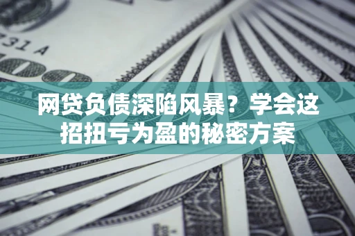 武汉网贷负债深陷风暴？学会这招扭亏为盈的秘密方案