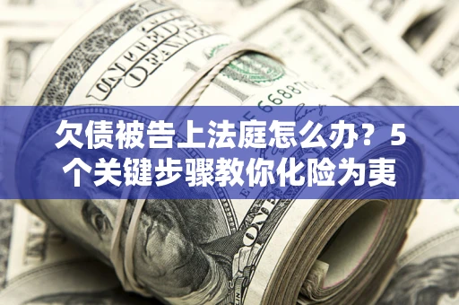 武汉欠债被告上法庭怎么办？5个关键步骤教你化险为夷
